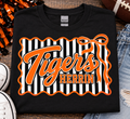 School Spirit Stripes