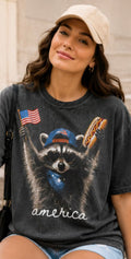 Raccoon (America)